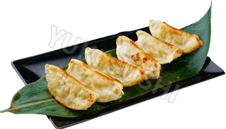 Gyoza raviolis au poulet